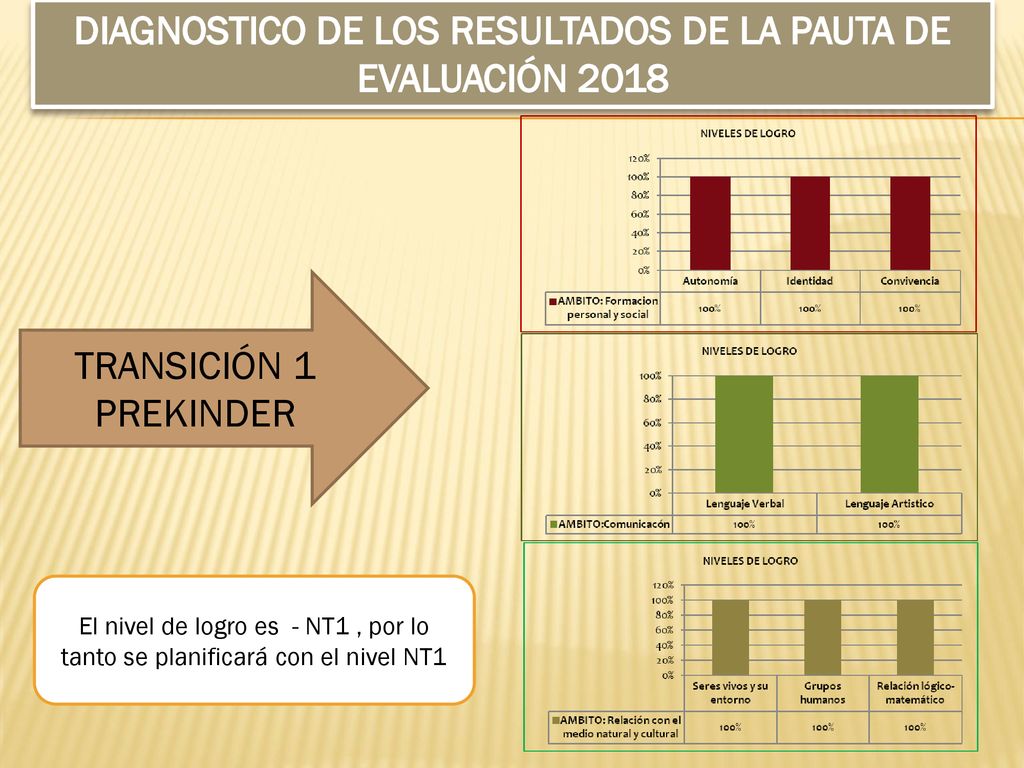 DIAGNOSTICO DE LOS RESULTADOS DE LA PAUTA DE EVALUACIÓN 2018