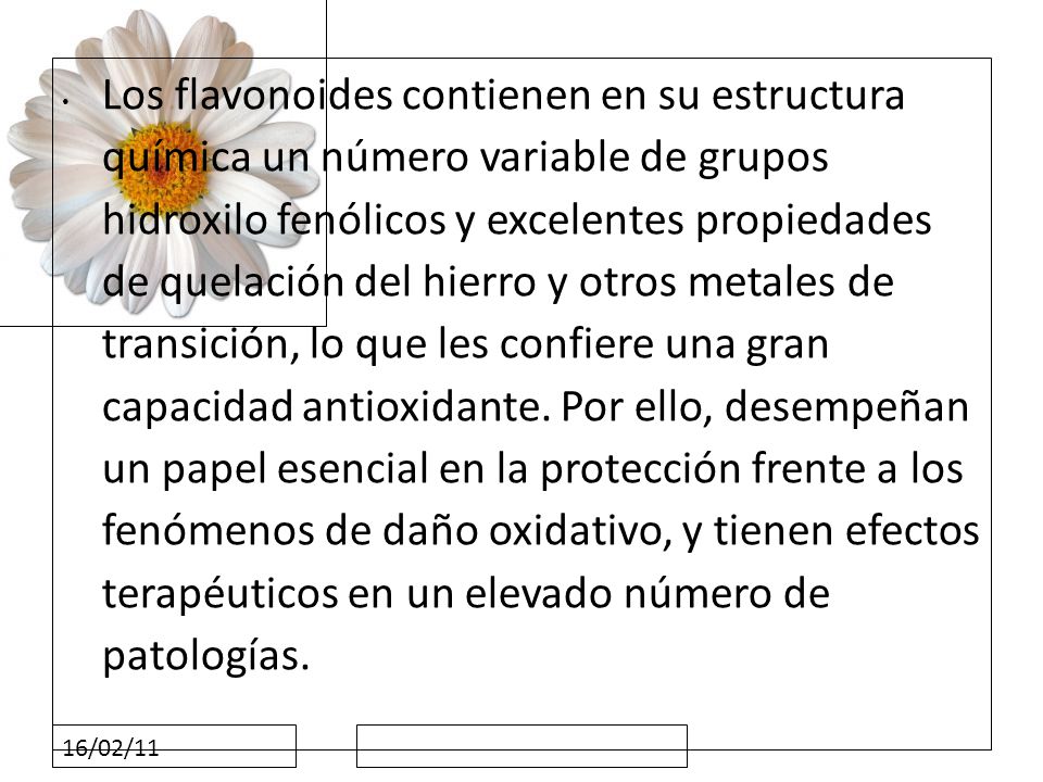 Los flavonoides contienen en su estructura química un número variable de grupos hidroxilo fenólicos y excelentes propiedades de quelación del hierro y otros metales de transición, lo que les confiere una gran capacidad antioxidante. Por ello, desempeñan un papel esencial en la protección frente a los fenómenos de daño oxidativo, y tienen efectos terapéuticos en un elevado número de patologías.