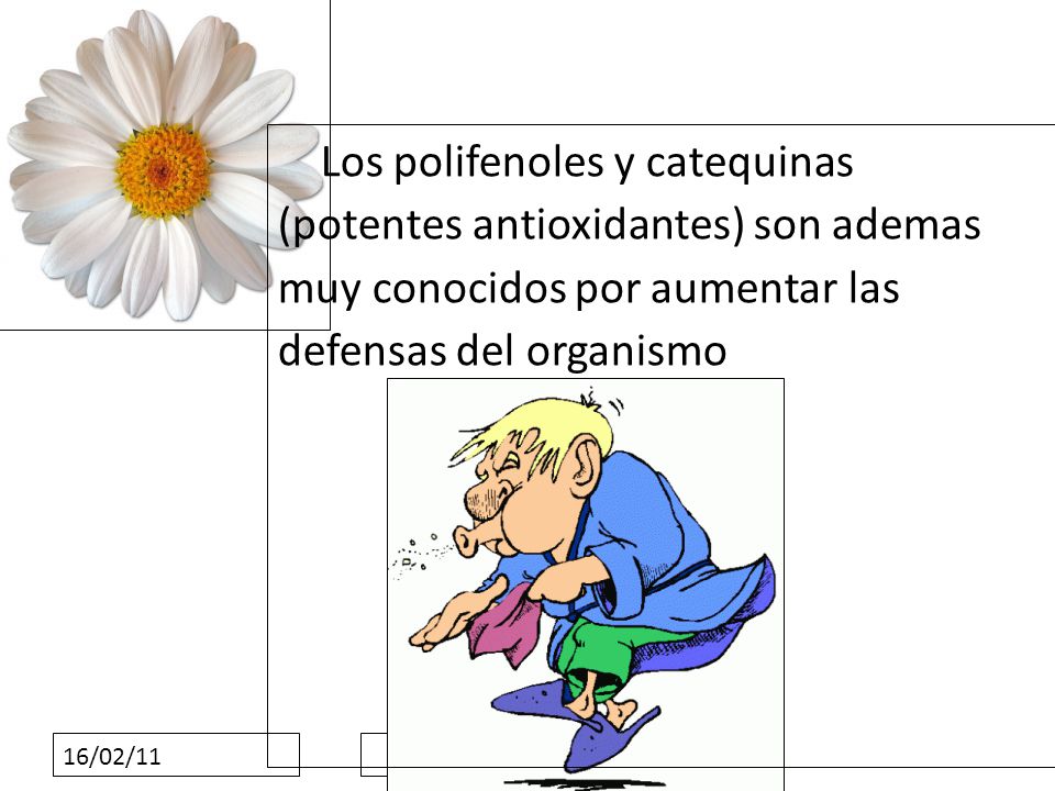 Los polifenoles y catequinas (potentes antioxidantes) son ademas muy conocidos por aumentar las defensas del organismo