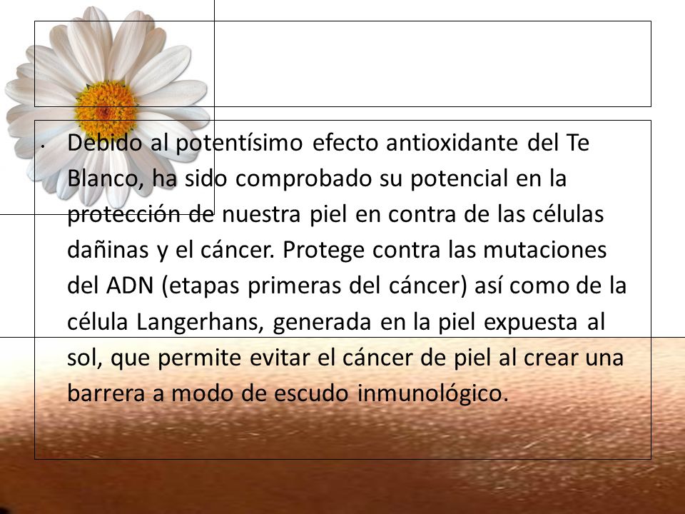 Debido al potentísimo efecto antioxidante del Te Blanco, ha sido comprobado su potencial en la protección de nuestra piel en contra de las células dañinas y el cáncer. Protege contra las mutaciones del ADN (etapas primeras del cáncer) así como de la célula Langerhans, generada en la piel expuesta al sol, que permite evitar el cáncer de piel al crear una barrera a modo de escudo inmunológico.