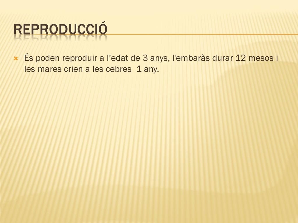 REPRODUCCIÓ És poden reproduir a l’edat de 3 anys, l embaràs durar 12 mesos i les mares crien a les cebres 1 any.