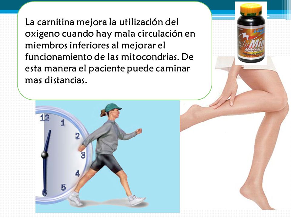 La carnitina mejora la utilización del oxigeno cuando hay mala circulación en miembros inferiores al mejorar el funcionamiento de las mitocondrias.
