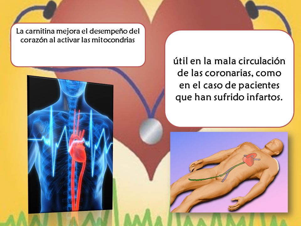 La carnitina mejora el desempeño del corazón al activar las mitocondrias