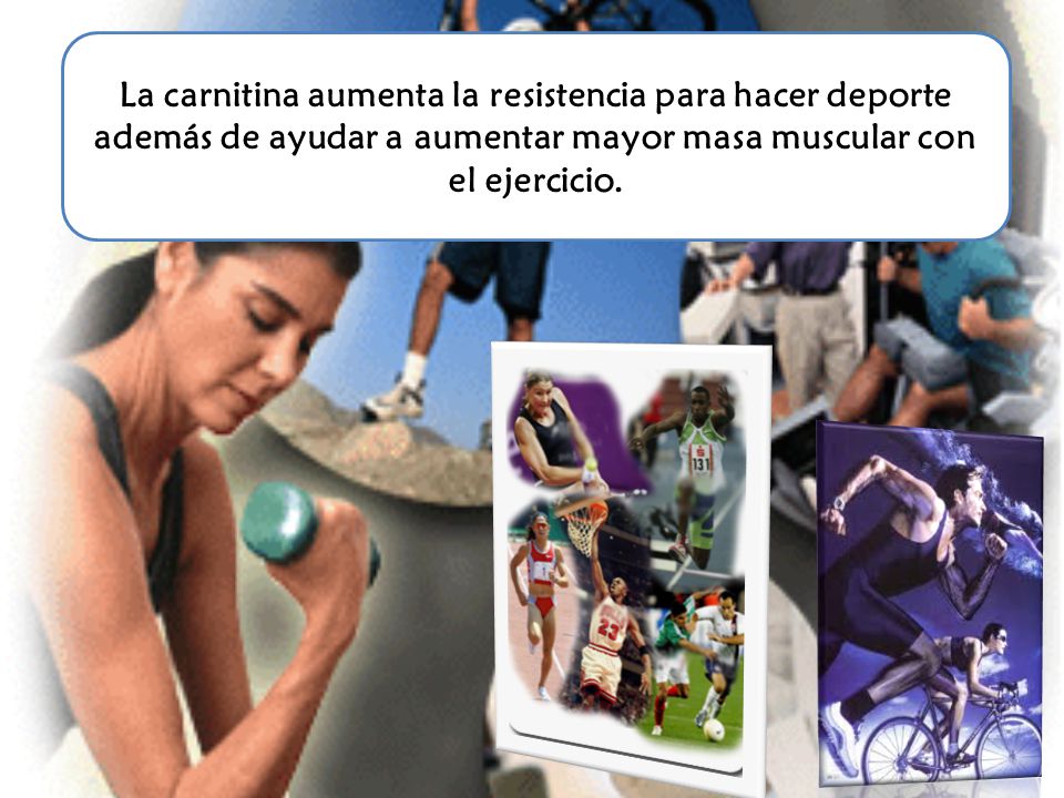 La carnitina aumenta la resistencia para hacer deporte además de ayudar a aumentar mayor masa muscular con el ejercicio.