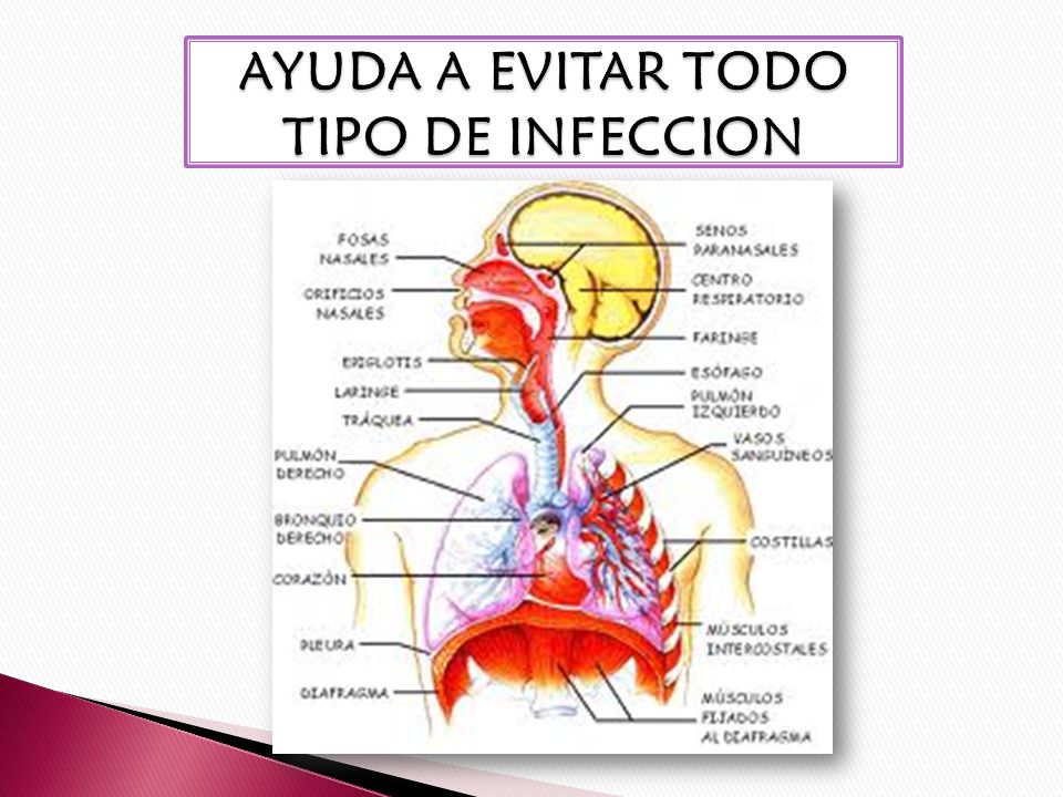 AYUDA A EVITAR TODO TIPO DE INFECCION