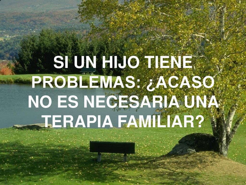 SI UN HIJO TIENE PROBLEMAS: ¿ACASO NO ES NECESARIA UNA TERAPIA FAMILIAR