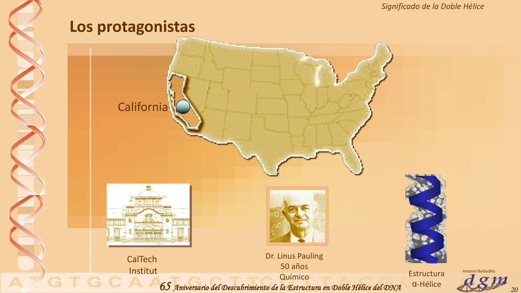 Los protagonistas California CalTech Institut Dr. Linus Pauling