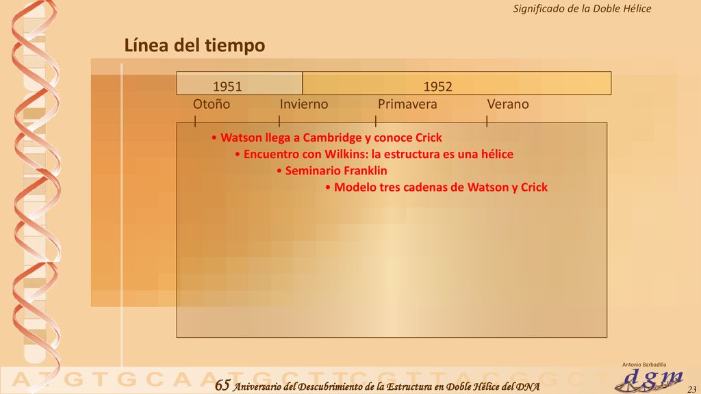 Línea del tiempo Otoño Invierno Primavera Verano | | | |