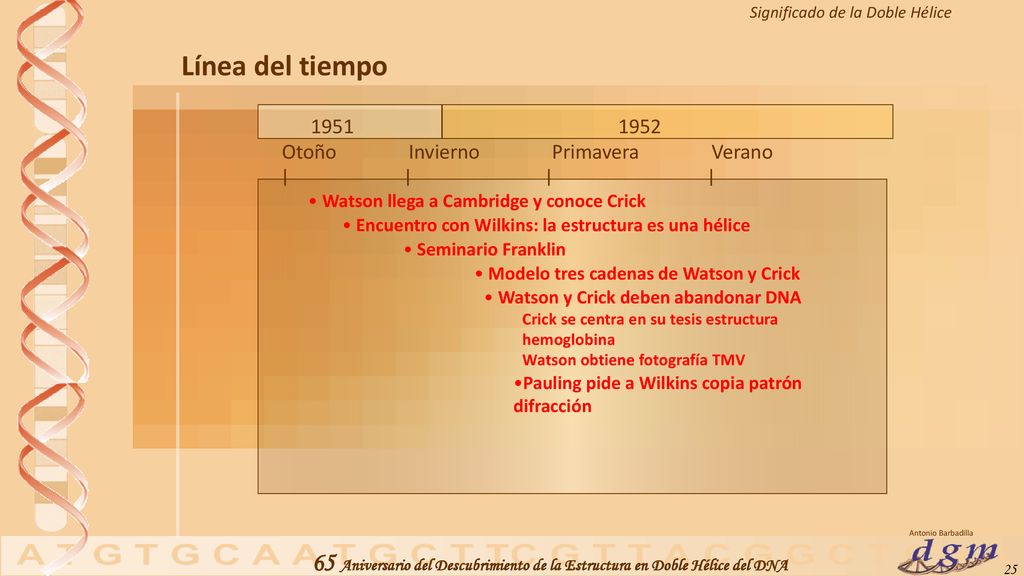 Línea del tiempo Otoño Invierno Primavera Verano | | | |