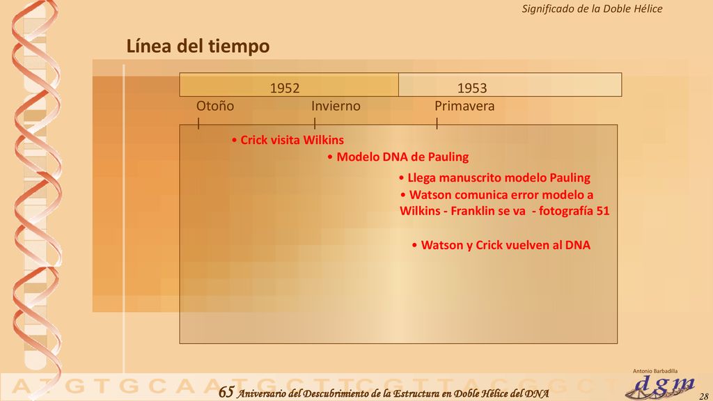 Llega manuscrito modelo Pauling Watson y Crick vuelven al DNA