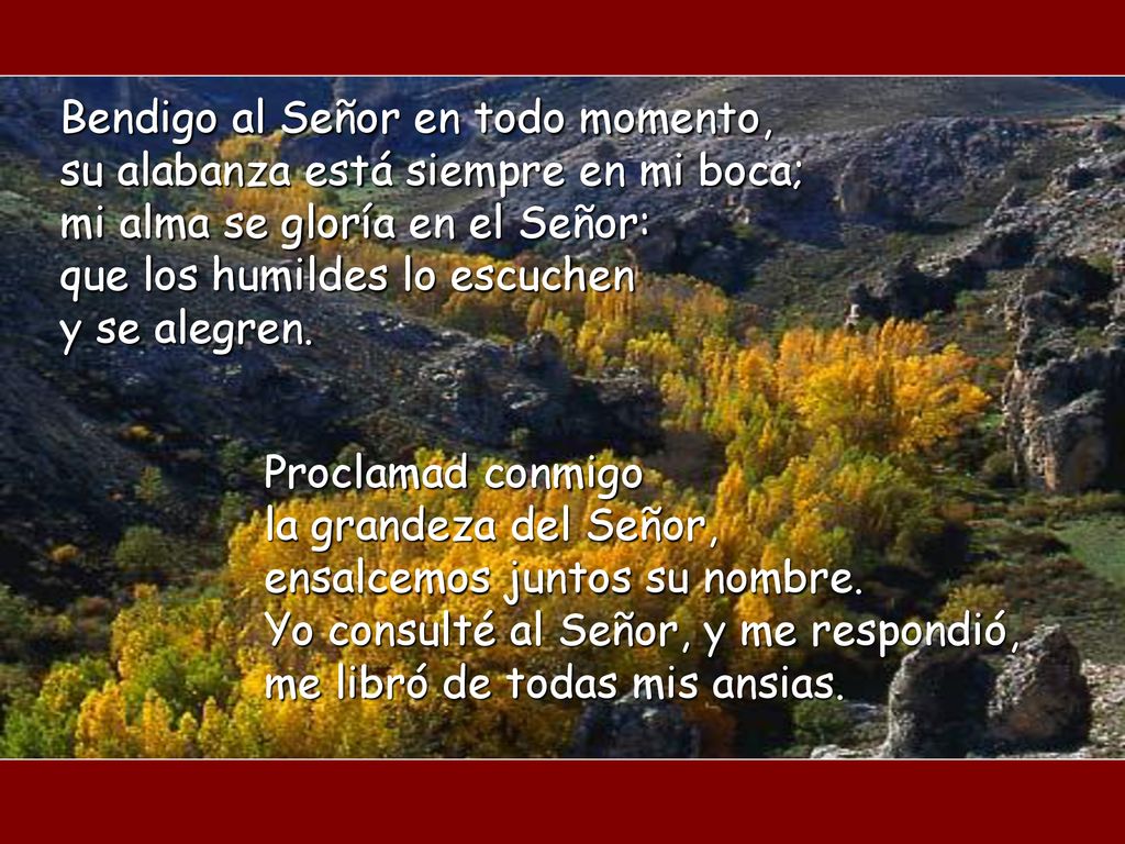 Bendigo al Señor en todo momento, su alabanza está siempre en mi boca; mi alma se gloría en el Señor: que los humildes lo escuchen y se alegren.