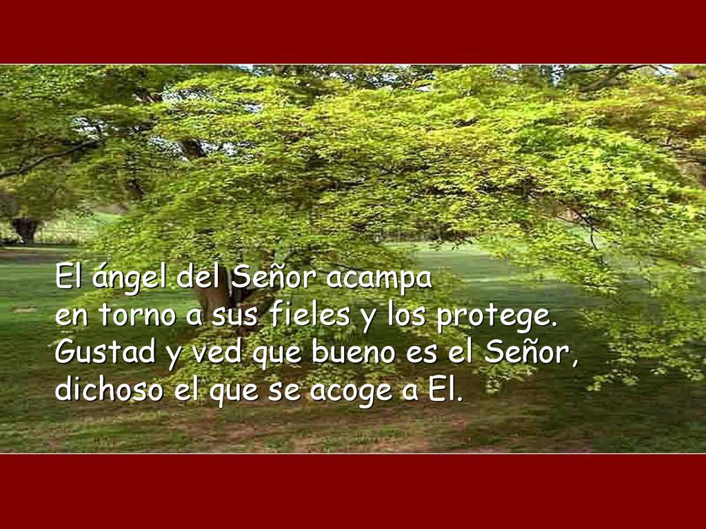 El ángel del Señor acampa en torno a sus fieles y los protege