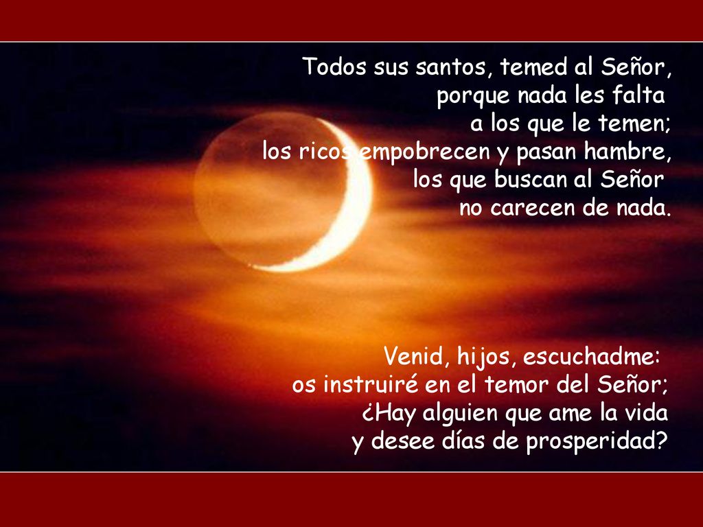 Todos sus santos, temed al Señor, porque nada les falta a los que le temen; los ricos empobrecen y pasan hambre, los que buscan al Señor no carecen de nada.