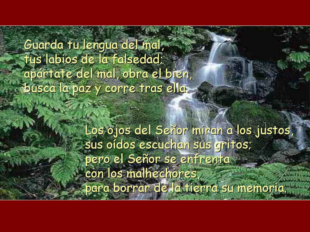 Guarda tu lengua del mal, tus labios de la falsedad; apártate del mal, obra el bien, busca la paz y corre tras ella.