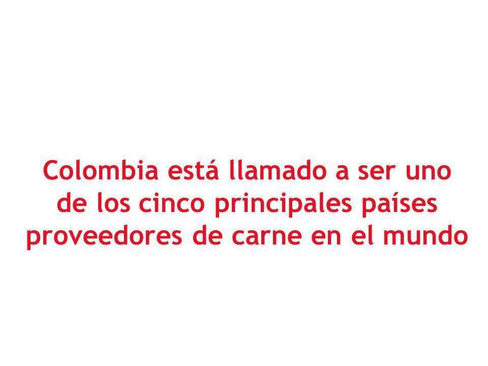 Colombia está llamado a ser uno de los cinco principales países proveedores de carne en el mundo
