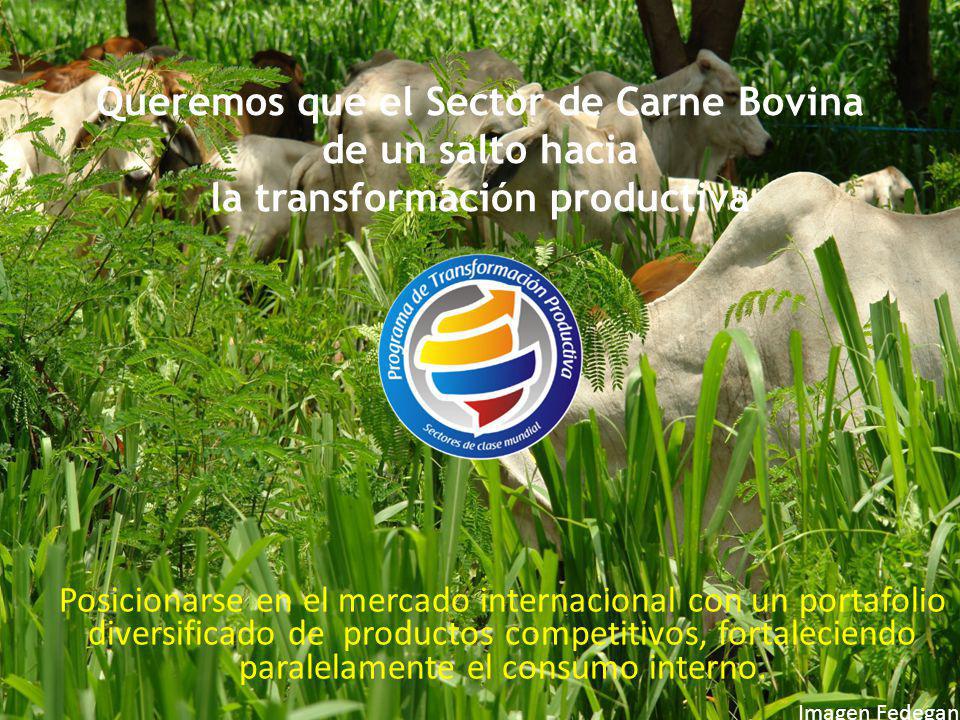 Queremos que el Sector de Carne Bovina de un salto hacia la transformación productiva