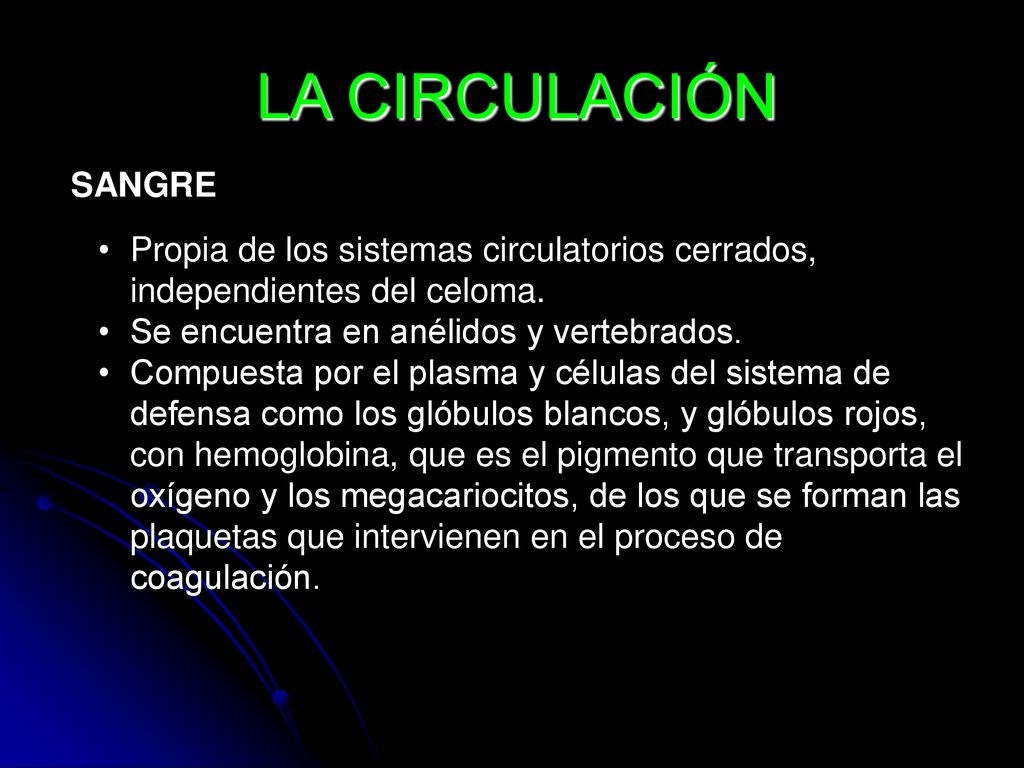 LA CIRCULACIÓN SANGRE. Propia de los sistemas circulatorios cerrados, independientes del celoma. Se encuentra en anélidos y vertebrados.