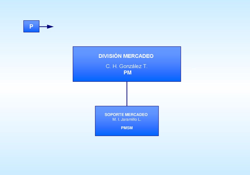 P DIVISIÓN MERCADEO C. H. González T. PM SOPORTE MERCADEO