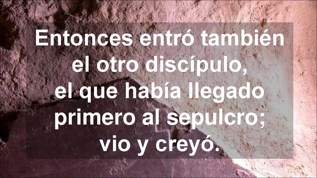 Entonces entró también el otro discípulo, el que había llegado primero al sepulcro; vio y creyó.