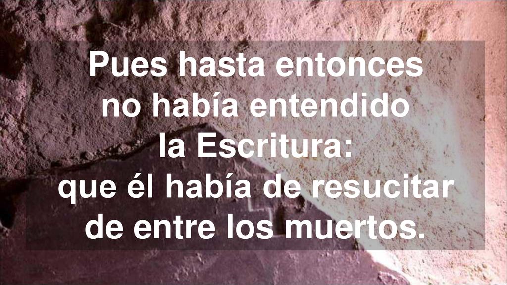 Pues hasta entonces no había entendido la Escritura: que él había de resucitar de entre los muertos.