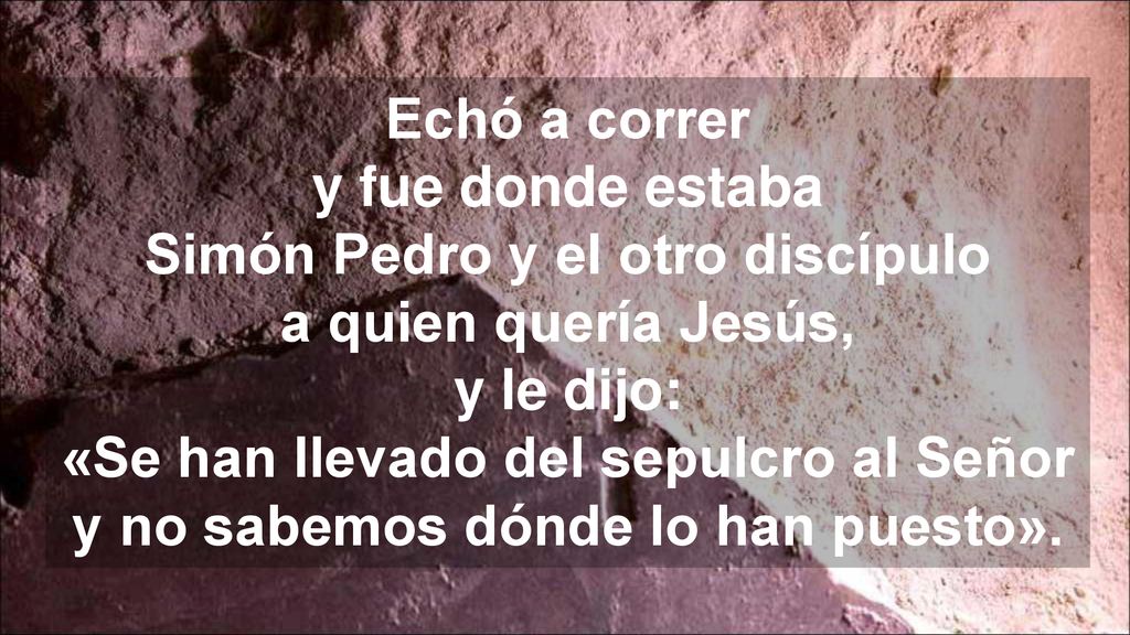 Echó a correr y fue donde estaba Simón Pedro y el otro discípulo a quien quería Jesús, y le dijo: «Se han llevado del sepulcro al Señor y no sabemos dónde lo han puesto».