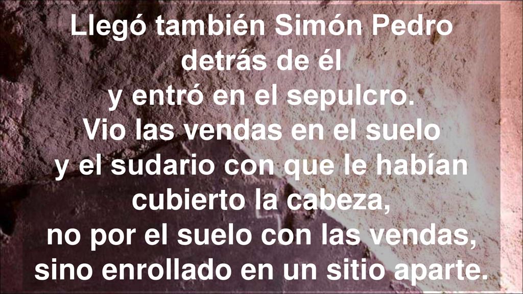 Llegó también Simón Pedro detrás de él y entró en el sepulcro