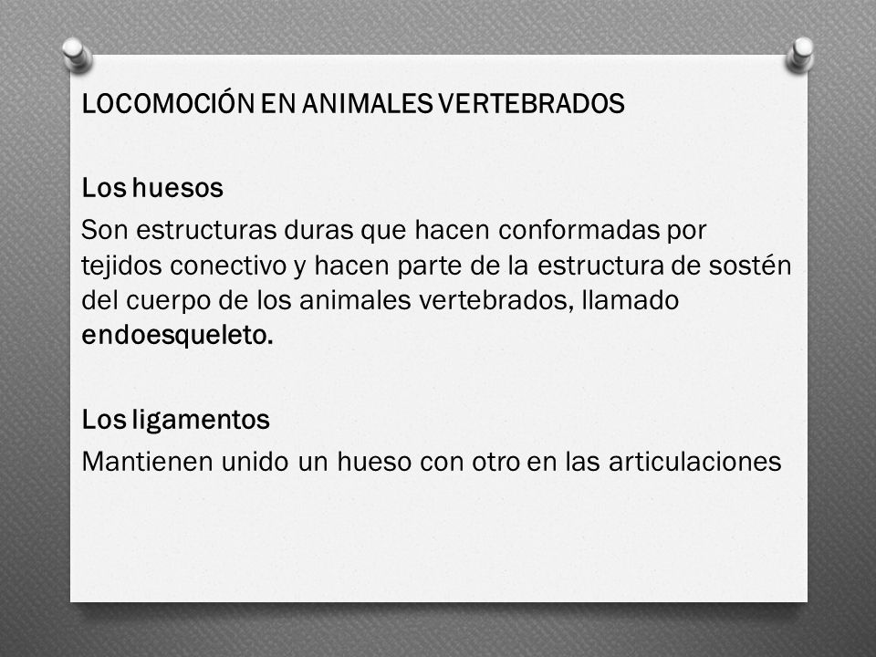 LOCOMOCIÓN EN ANIMALES VERTEBRADOS Los huesos Son estructuras duras que hacen conformadas por tejidos conectivo y hacen parte de la estructura de sostén del cuerpo de los animales vertebrados, llamado endoesqueleto.