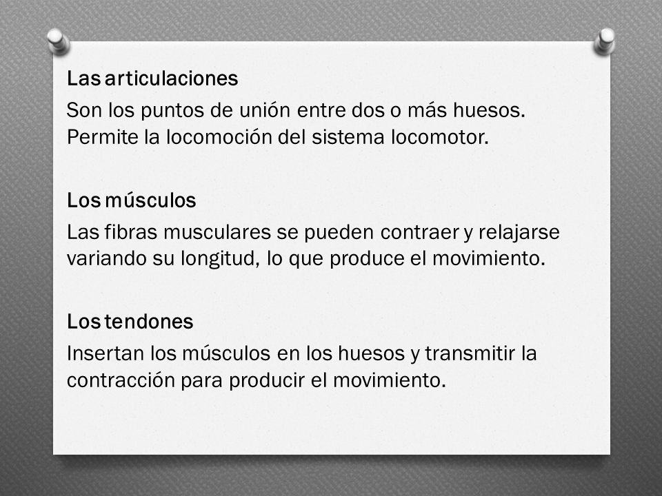 Las articulaciones Son los puntos de unión entre dos o más huesos