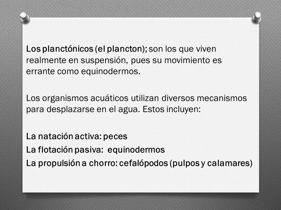 Los planctónicos (el plancton); son los que viven realmente en suspensión, pues su movimiento es errante como equinodermos.