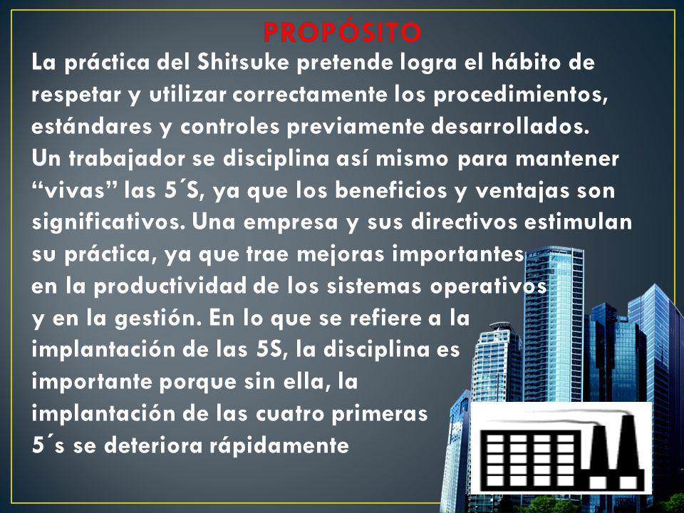 La práctica del Shitsuke pretende logra el hábito de respetar y utilizar correctamente los procedimientos, estándares y controles previamente desarrollados. Un trabajador se disciplina así mismo para mantener vivas las 5´S, ya que los beneficios y ventajas son significativos. Una empresa y sus directivos estimulan su práctica, ya que trae mejoras importantes en la productividad de los sistemas operativos y en la gestión. En lo que se refiere a la implantación de las 5S, la disciplina es importante porque sin ella, la implantación de las cuatro primeras 5´s se deteriora rápidamente