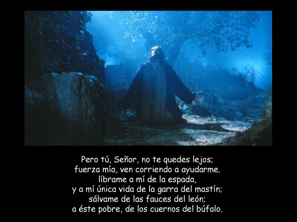 Pero tú, Señor, no te quedes lejos; fuerza mía, ven corriendo a ayudarme.