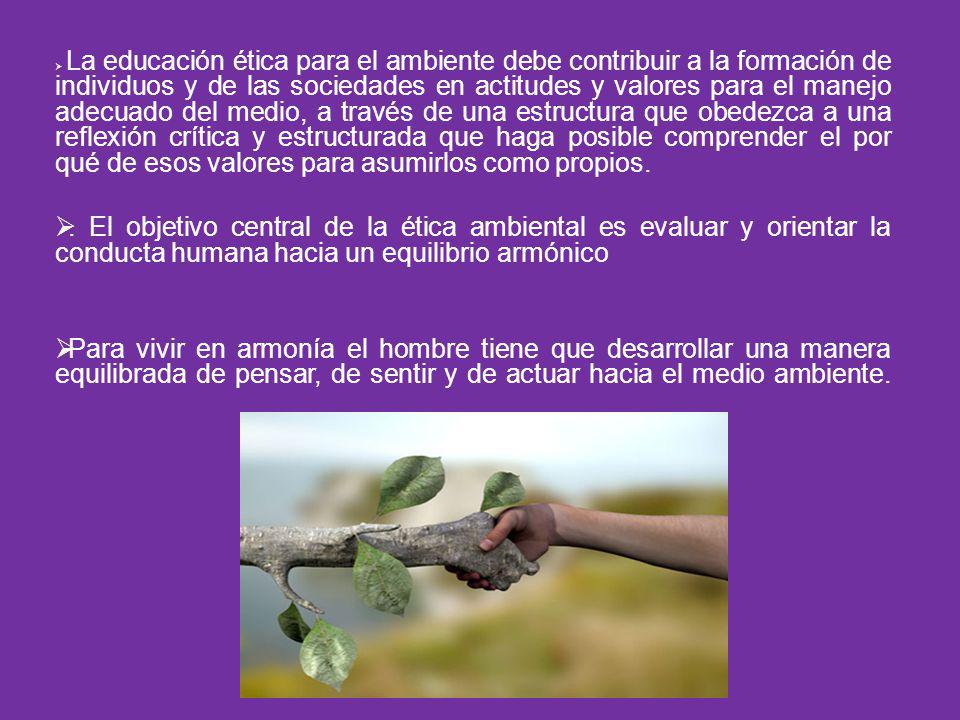La educación ética para el ambiente debe contribuir a la formación de individuos y de las sociedades en actitudes y valores para el manejo adecuado del medio, a través de una estructura que obedezca a una reflexión crítica y estructurada que haga posible comprender el por qué de esos valores para asumirlos como propios.