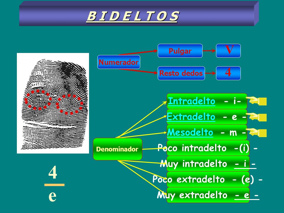 4 e B I D E L T O S V 4 Intradelto - i- Extradelto - e -
