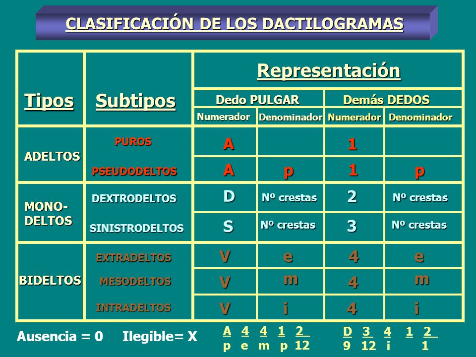 Representación Tipos Subtipos CLASIFICACIÓN DE LOS DACTILOGRAMAS A 1 A
