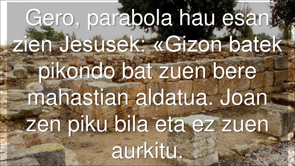 Gero, parabola hau esan zien Jesusek: «Gizon batek pikondo bat zuen bere mahastian aldatua.