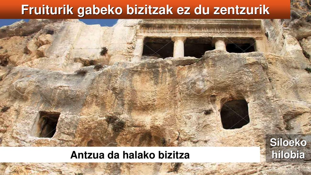 Fruiturik gabeko bizitzak ez du zentzurik Antzua da halako bizitza