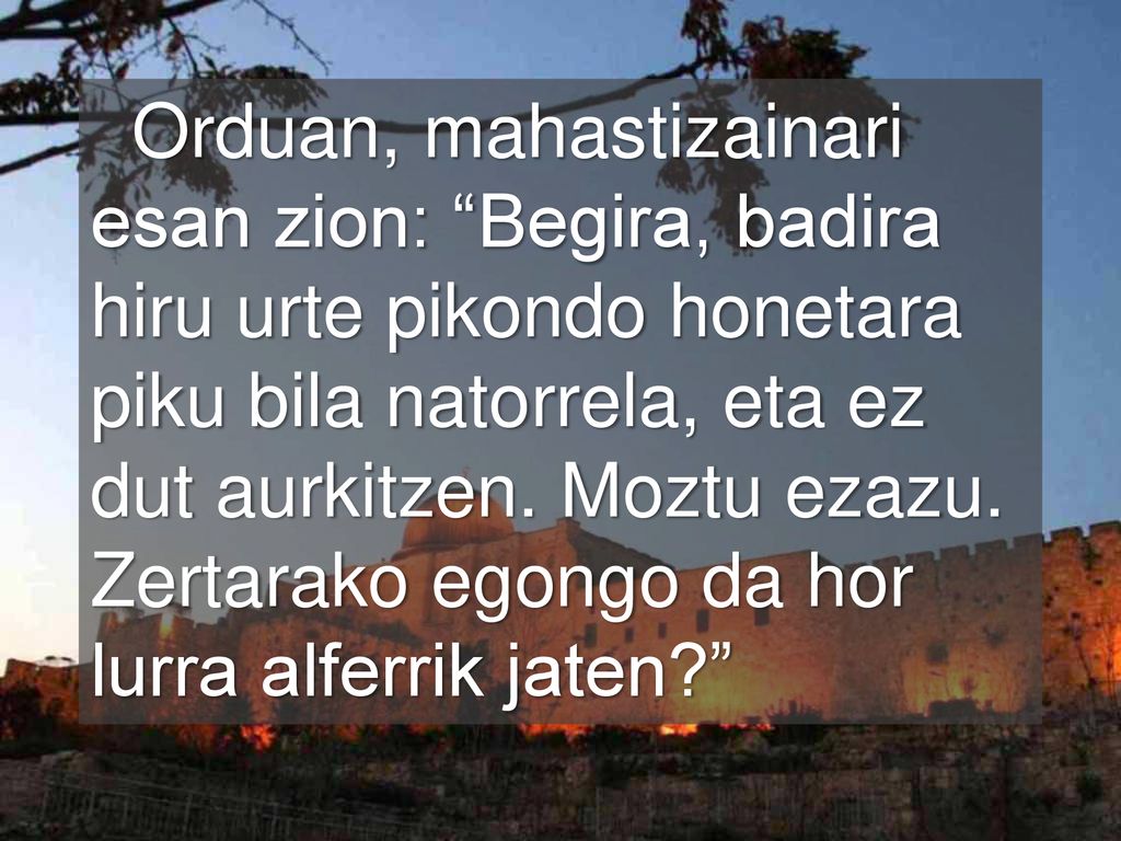 Orduan, mahastizainari esan zion: Begira, badira hiru urte pikondo honetara piku bila natorrela, eta ez dut aurkitzen.