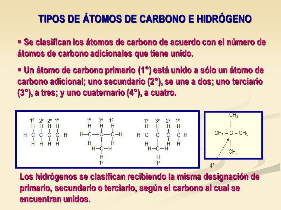 TIPOS DE ÁTOMOS DE CARBONO E HIDRÓGENO