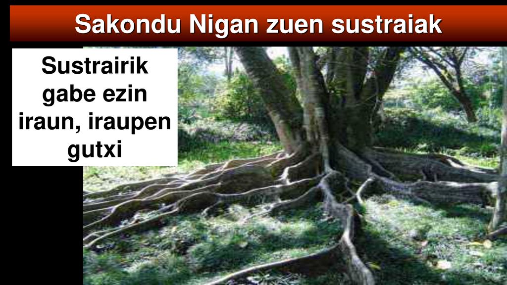 Sakondu Nigan zuen sustraiak Sustrairik gabe ezin iraun, iraupen gutxi