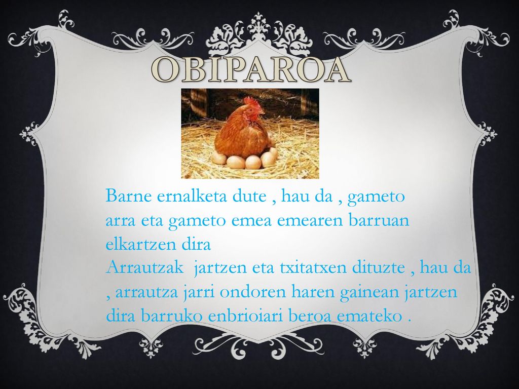 OBIPAROA Barne ernalketa dute , hau da , gameto arra eta gameto emea emearen barruan elkartzen dira.