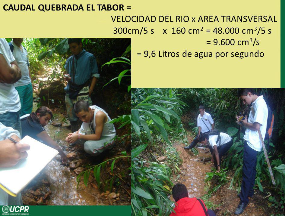 CAUDAL QUEBRADA EL TABOR = VELOCIDAD DEL RIO x AREA TRANSVERSAL 300cm/5 s x 160 cm2 = cm3/5 s = cm3/s = 9,6 Litros de agua por segundo