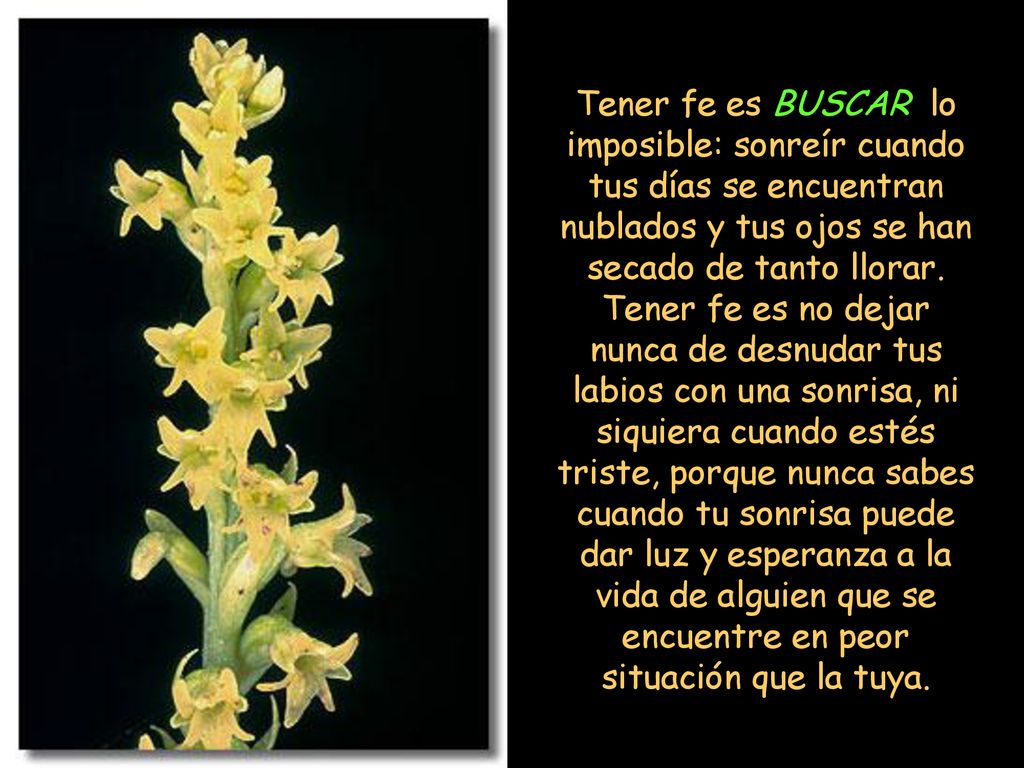 Tener fe es BUSCAR lo imposible: sonreír cuando tus días se encuentran nublados y tus ojos se han secado de tanto llorar.