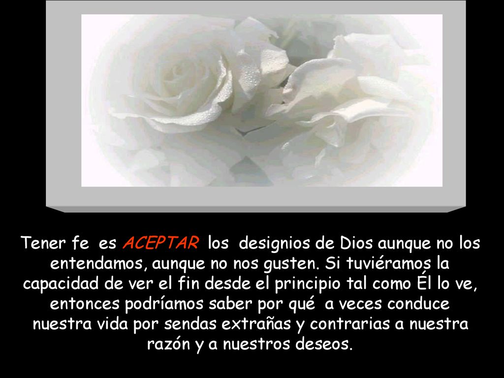 Tener fe es ACEPTAR los designios de Dios aunque no los entendamos, aunque no nos gusten.