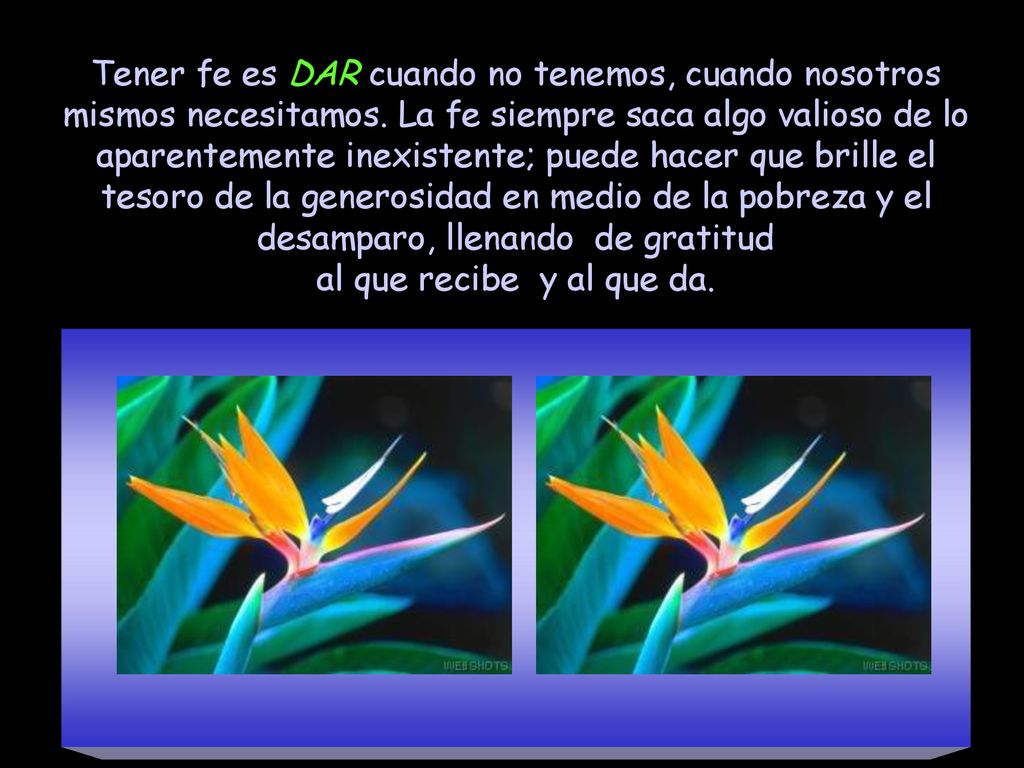 Tener fe es DAR cuando no tenemos, cuando nosotros mismos necesitamos