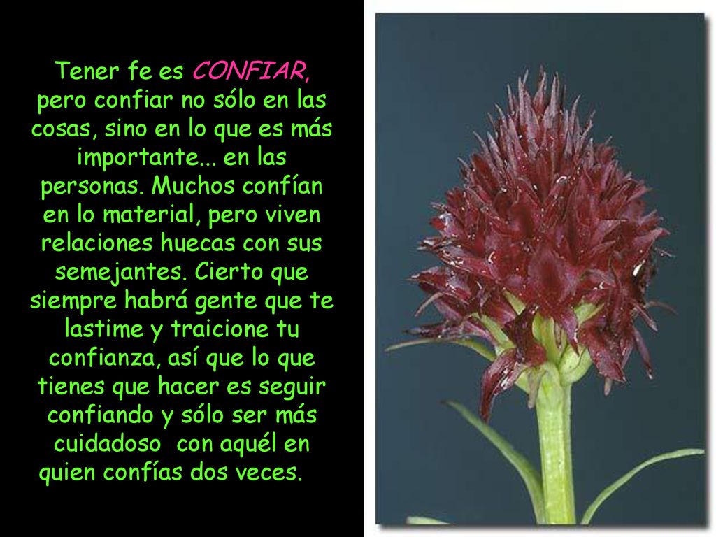 Tener fe es CONFIAR, pero confiar no sólo en las cosas, sino en lo que es más importante...