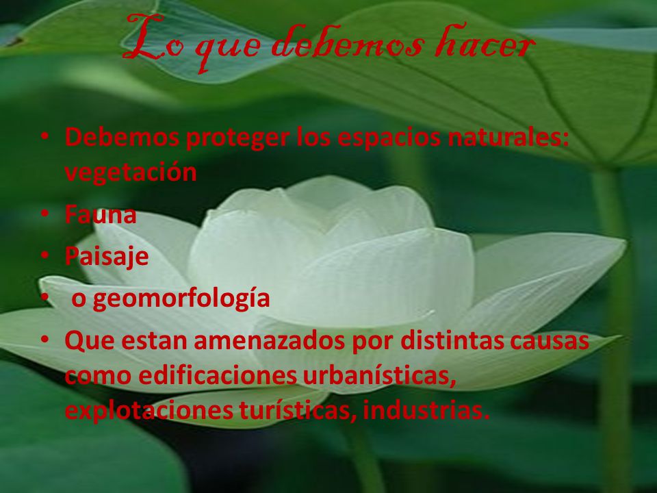 Lo que debemos hacer Debemos proteger los espacios naturales: vegetación. Fauna. Paisaje. o geomorfología.