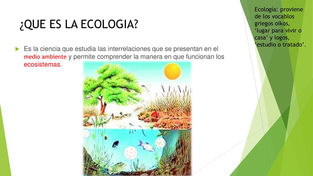 Ecología: proviene de los vocablos griegos oikos, ‘lugar para vivir o casa’ y logos, ‘estudio o tratado’.