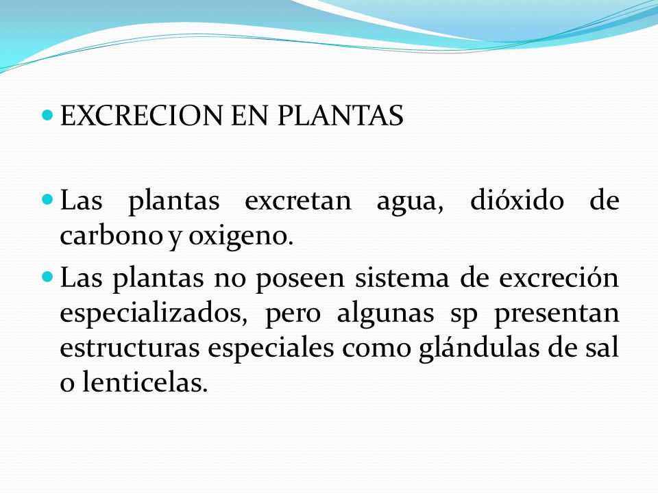 EXCRECION EN PLANTAS Las plantas excretan agua, dióxido de carbono y oxigeno.