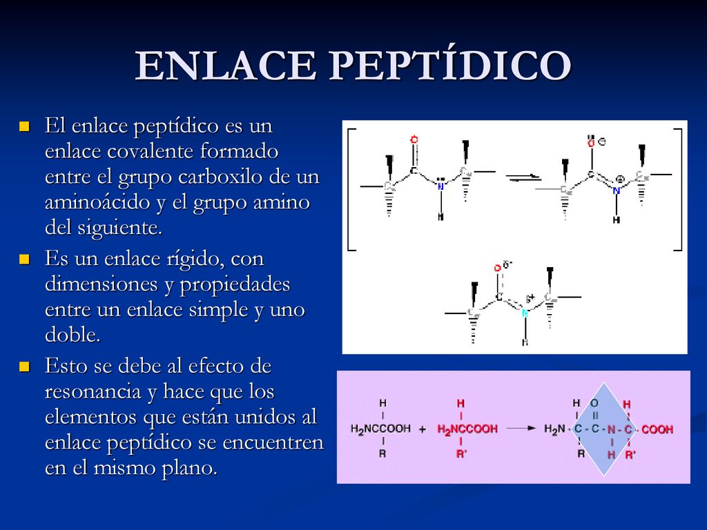 ENLACE PEPTÍDICO El enlace peptídico es un enlace covalente formado entre el grupo carboxilo de un aminoácido y el grupo amino del siguiente.