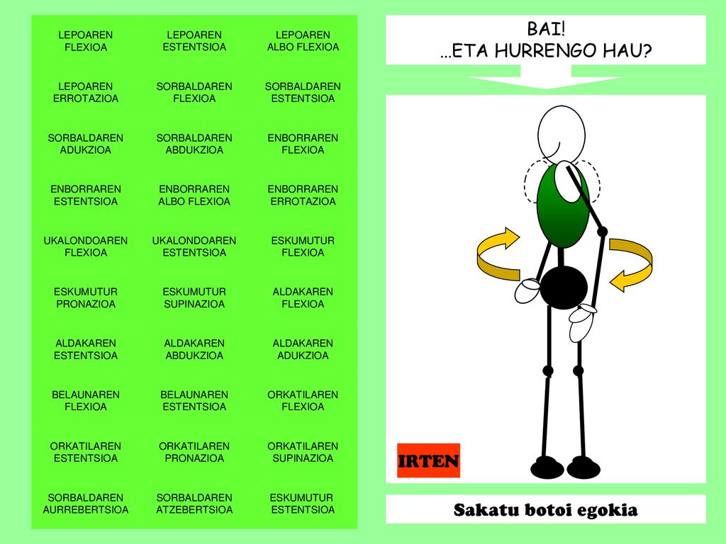 BAI! …ETA HURRENGO HAU IRTEN Sakatu botoi egokia LEPOAREN FLEXIOA